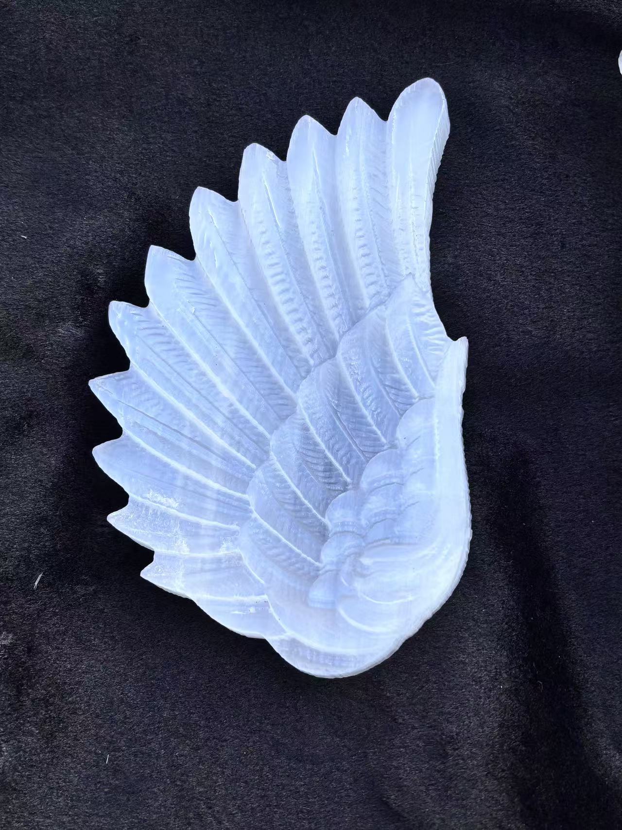 A pair of Guardian Angel Wings，861g