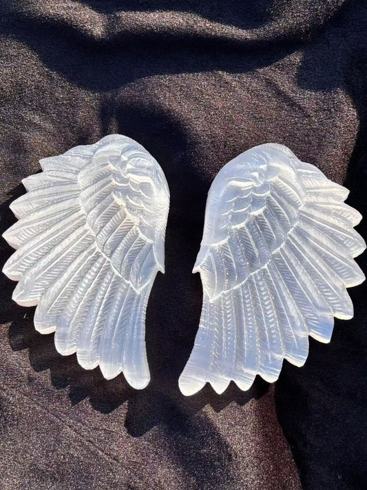 A pair of Guardian Angel Wings，861g