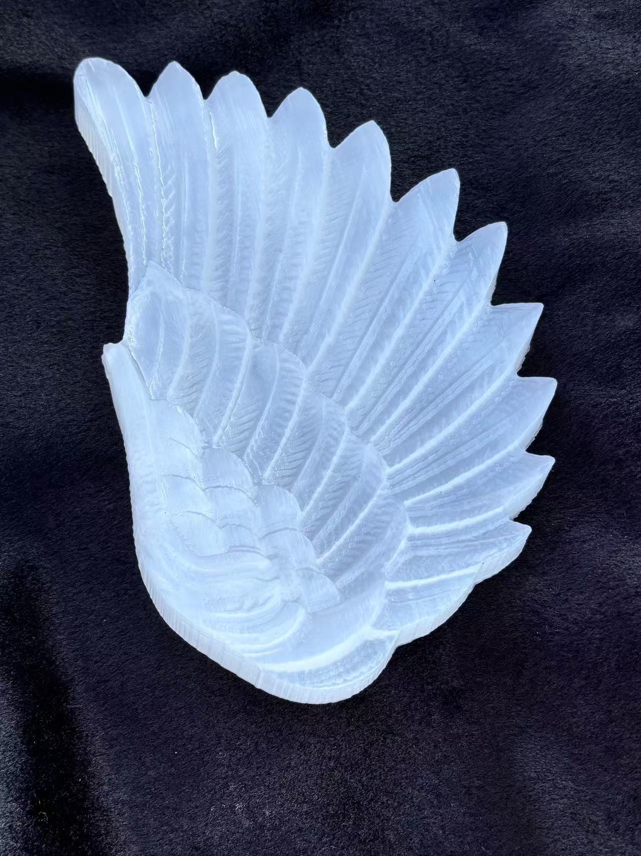 A pair of Guardian Angel Wings，861g