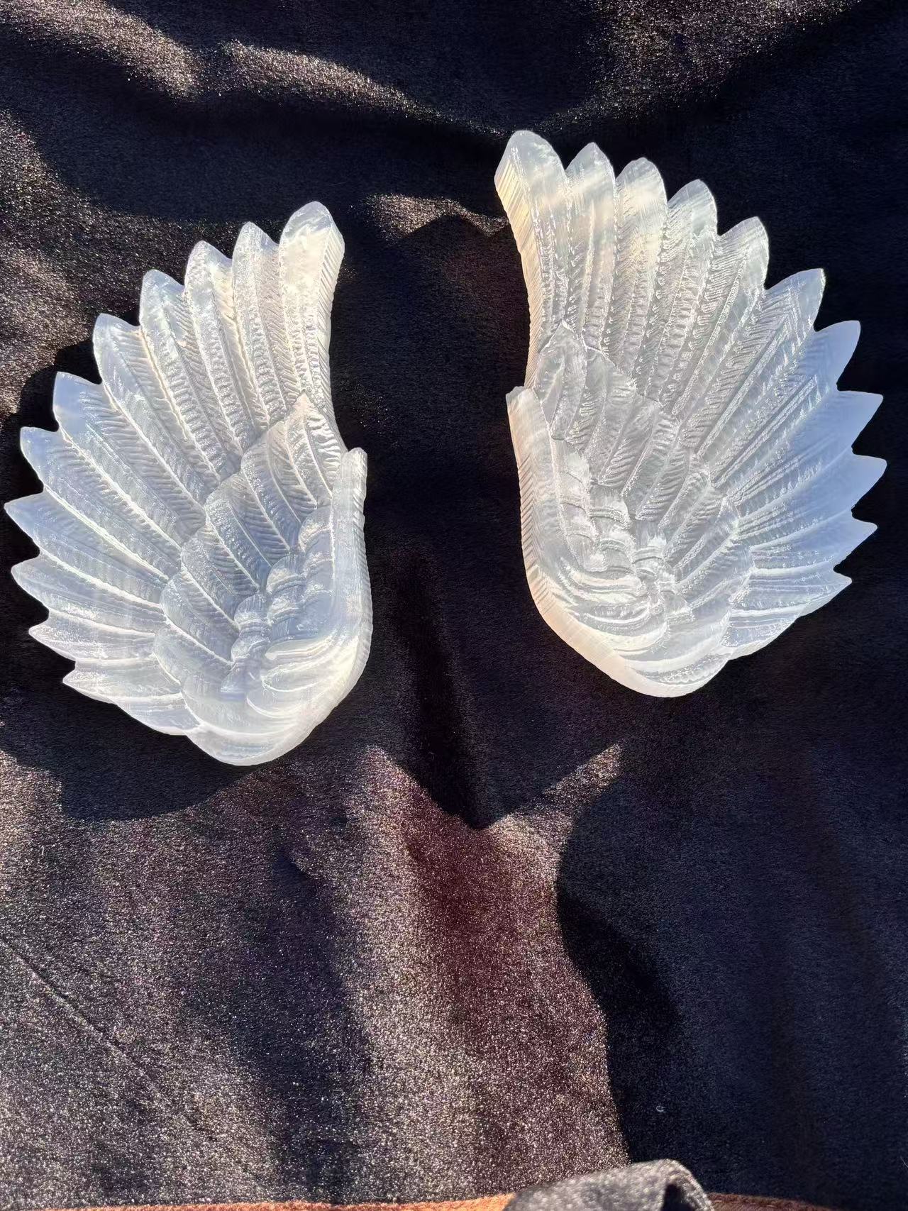 A pair of Guardian Angel Wings，861g